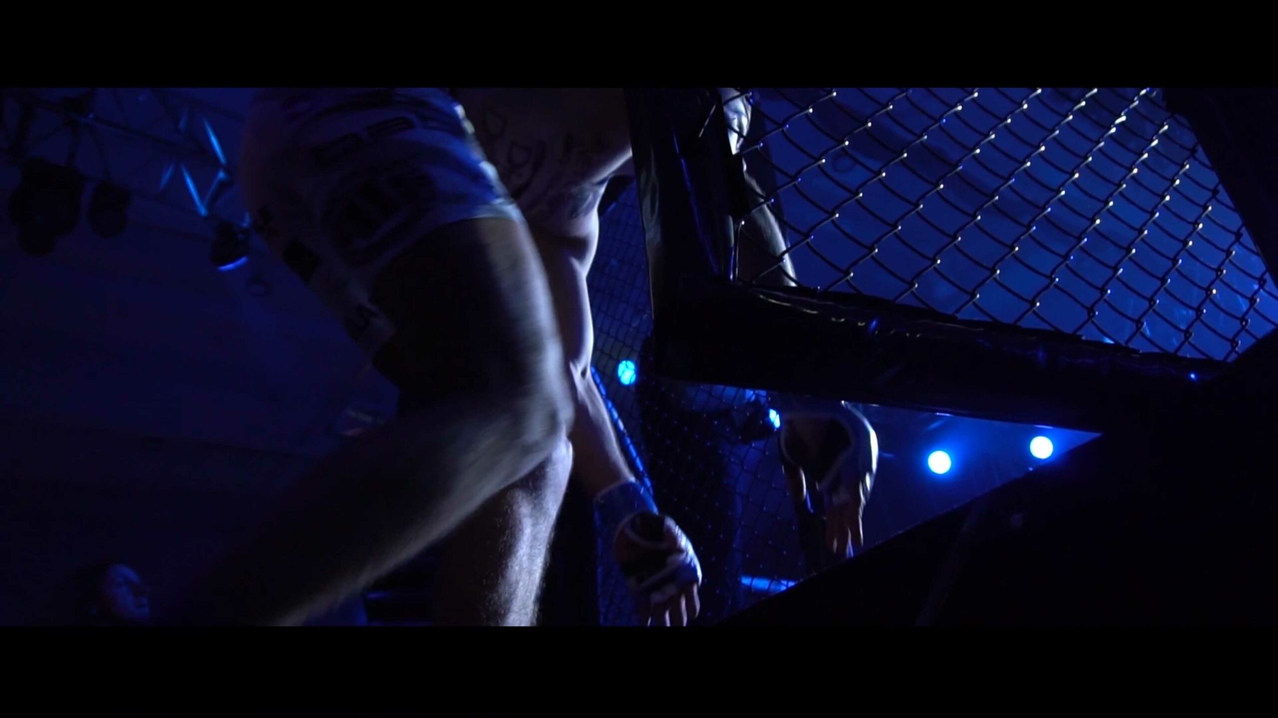 mma-babylon-raszyn-flava-film-3